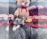 Small #18 Breeder Profile image