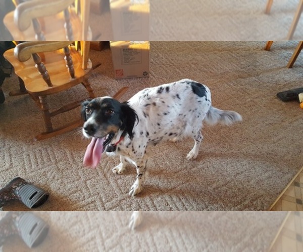 Medium Photo #1  Breeder Profile in OWATONNA, MN, USA
