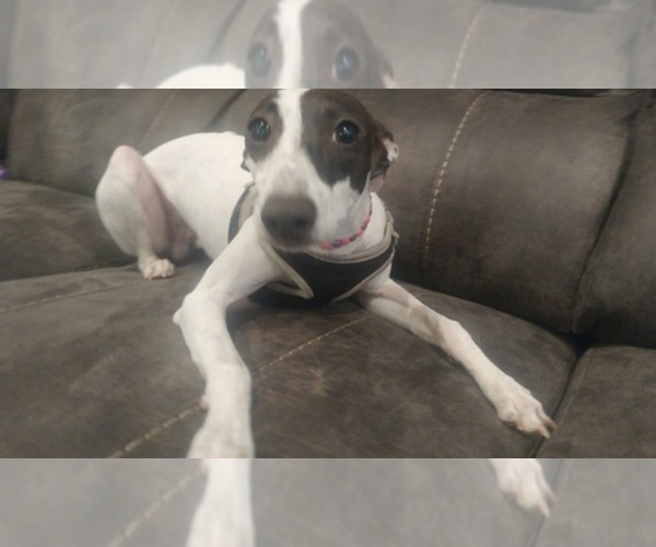 Medium Photo #1  Breeder Profile in OREM, UT, USA