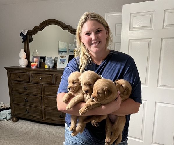 Medium Photo #1  Breeder Profile in BARTOW, FL, USA