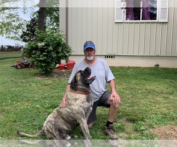 Medium Photo #1  Breeder Profile in NANCY, KY, USA