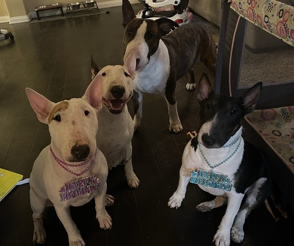 Medium Photo #1  Breeder Profile in CORONA, CA, USA