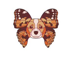 Medium Breeder Profile Photo