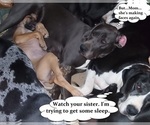 Small #4 Breeder Profile image