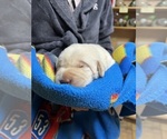 Small #3 Breeder Profile image