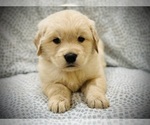 Small #6 Breeder Profile image