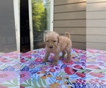 Small #5 Breeder Profile image