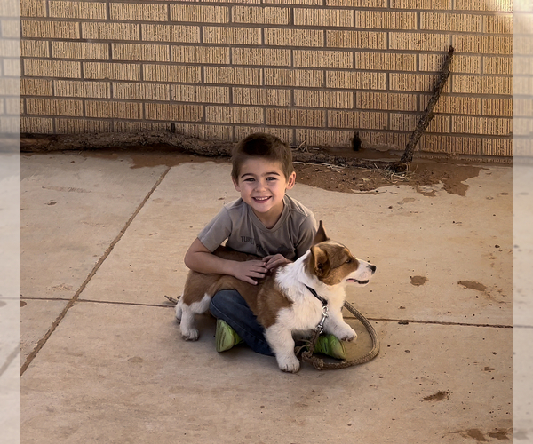 Medium Photo #2  Breeder Profile in AMES, OK, USA