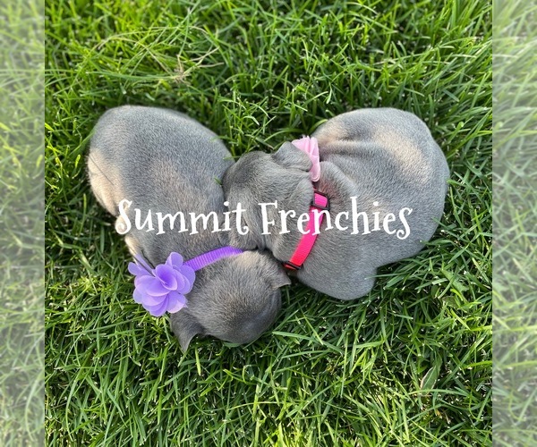 Medium Photo #1  Breeder Profile in SANTAQUIN, UT, USA