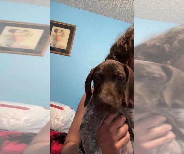 Medium Photo #8  Breeder Profile in FRIENDSWOOD, TX, USA