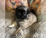 Small #6 Breeder Profile image