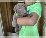 Small #6 Breeder Profile image