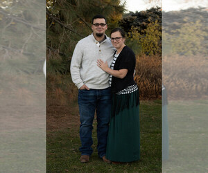 Poodle (Toy) Dog Breeder near BURTON CITY, OH, USA