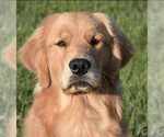 Small #2 Breeder Profile image