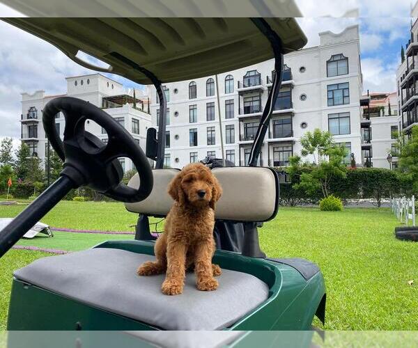 Medium Photo #1  Breeder Profile in BONITA, CA, USA