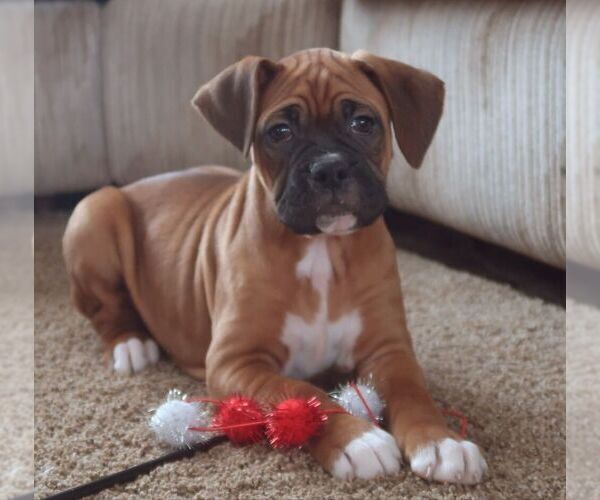 Medium Photo #4  Breeder Profile in LOYAL, WI, USA