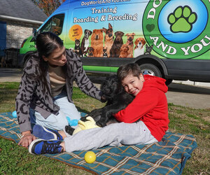 Belgian Malinois Dog Breeder near S CHARLESTON, WV, USA