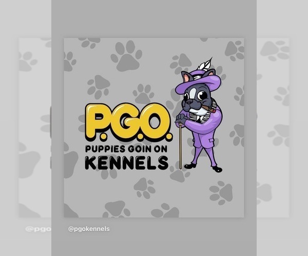 Medium Photo #1  Breeder Profile in NEWPORT BEACH, CA, USA