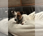 Small #16 Breeder Profile image