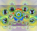 Small #1 Breeder Profile image