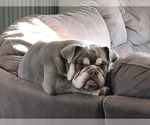Small #1 Breeder Profile image