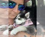 Small #2 Breeder Profile image