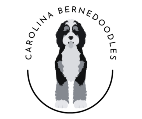 Medium Photo #1  Breeder Profile in CENTRAL, SC, USA
