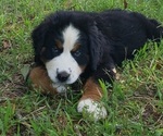 Small #5 Breeder Profile image