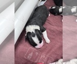 Small #6 Breeder Profile image