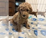 Small #15 Breeder Profile image