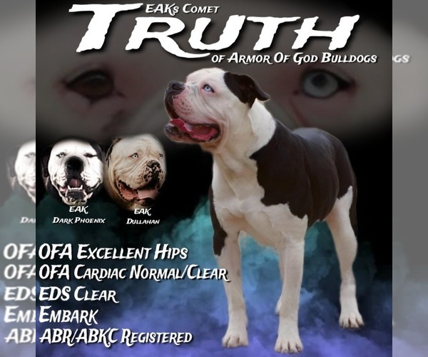 Medium Photo #1  Breeder Profile in DECATUR, IL, USA