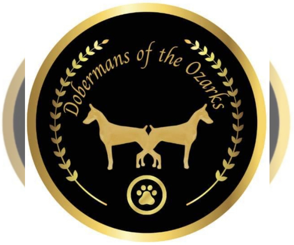 Medium Photo #1  Breeder Profile in OZARK, MO, USA
