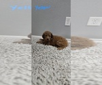 Small #5 Breeder Profile image