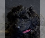 Small #3 Breeder Profile image