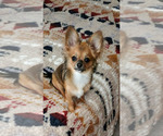 Small #45 Breeder Profile image