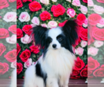 Small #2 Breeder Profile image