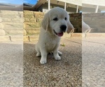 Small #5 Breeder Profile image