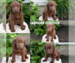 Small #6 Breeder Profile image