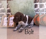 Small #4 Breeder Profile image