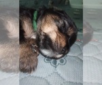 Small #34 Breeder Profile image