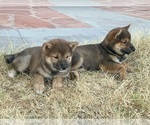 Small #2 Breeder Profile image