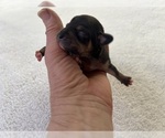 Small #5 Breeder Profile image