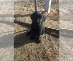 Small Photo #1  Breeder Profile in DEER RIVER, MN, USA