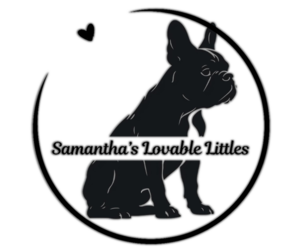 French Bulldog Dog Breeder near NAMPA, ID, USA