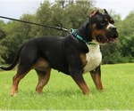 Small #9 Breeder Profile image