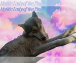 Small #16 Breeder Profile image