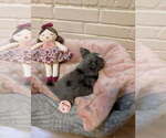 Small #8 Breeder Profile image
