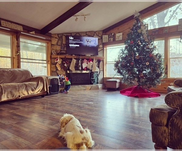 Medium Photo #9  Breeder Profile in CLEVELAND, GA, USA
