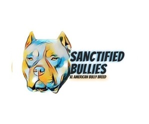 American Bully Dog Breeder near BOLIVAR, MO, USA