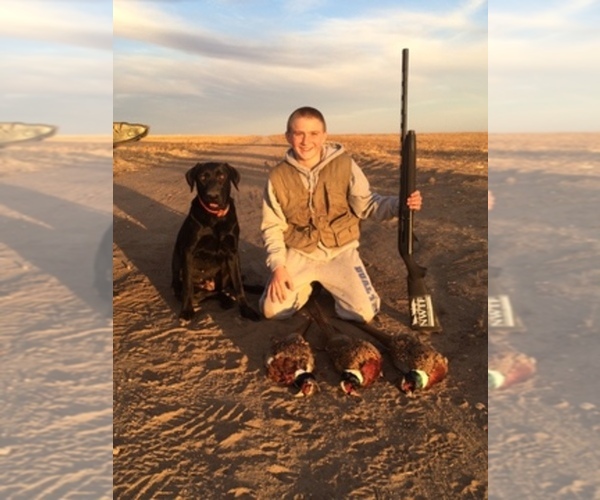 Medium Photo #1  Breeder Profile in BYERS, CO, USA